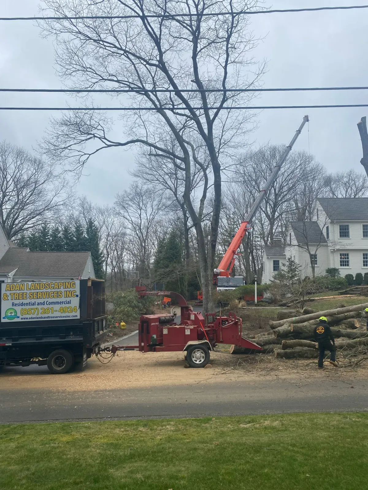 work photo from adantreeservices.com