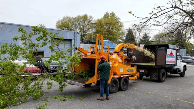 Eastern Tree Service researched project photo