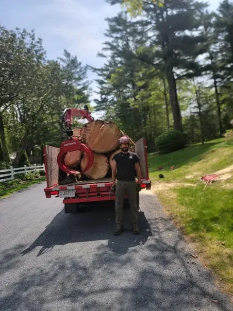 Person standing beside a red truck loaded with cut logs on a sunny rural road.