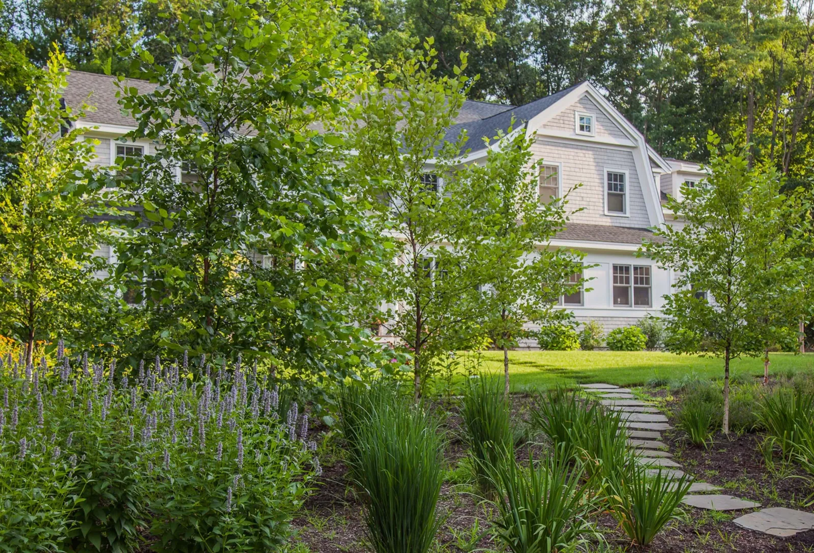 2026_MinglewoodLLC_HomepageSlideshow_Meadow.jpg