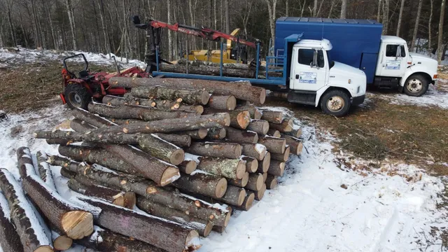 Lamarche tree service LLC work photo