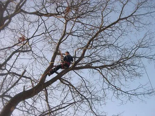 work photo from leahylandscaping.com