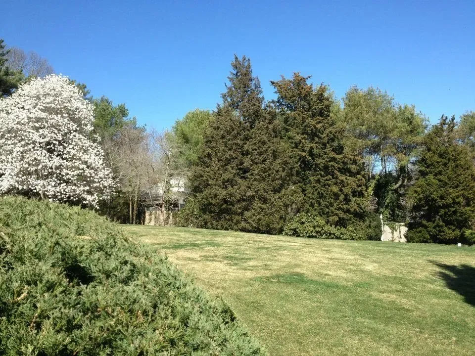 Landscape Service