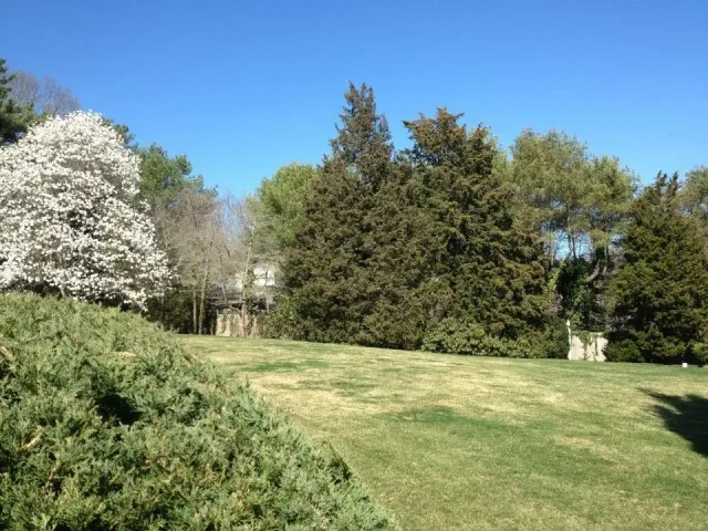Landscape Service