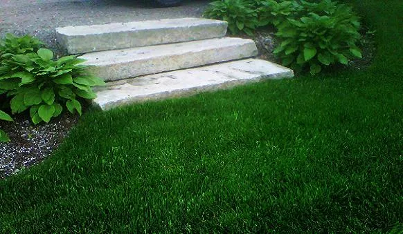 work photo from cuttingedge-landscapes.com
