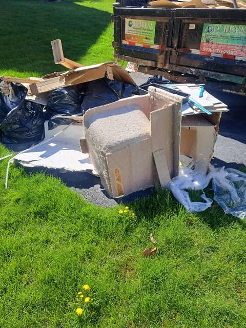 D'Reyna Handyman and Trash Removal
