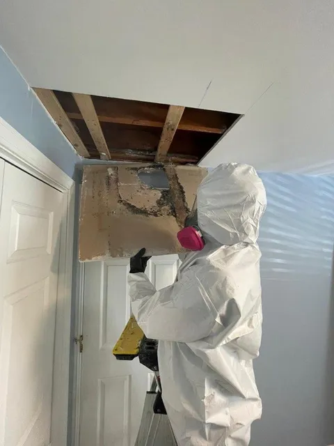 A1 Water & Mold Removal MA work photo