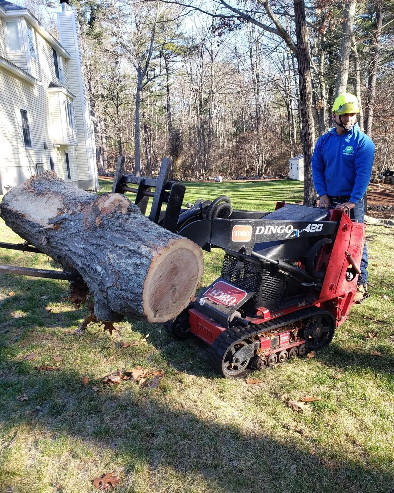 Adan Landscaping & Tree Services Inc