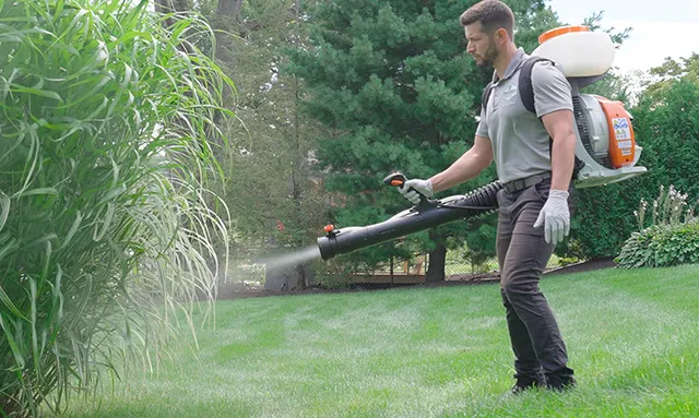 work photo from premiertopdressing.com