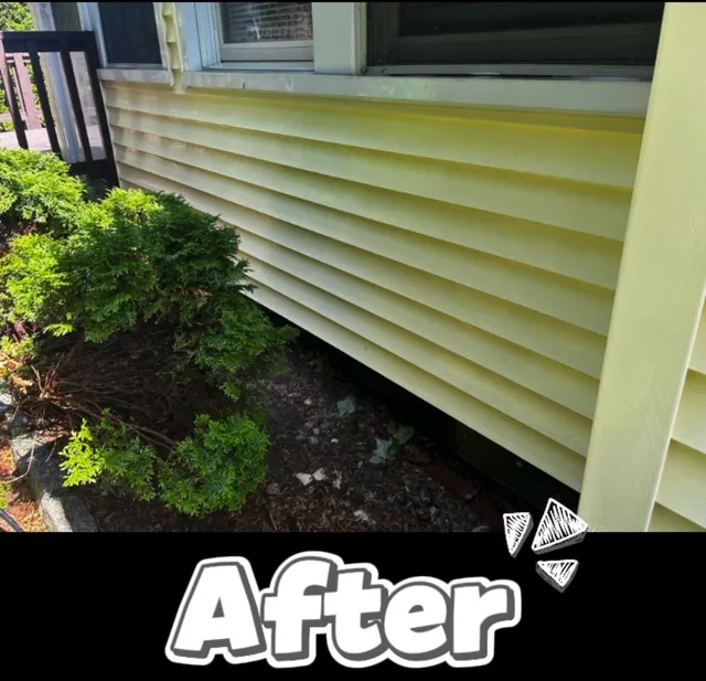 Alma Power Washing LLC work photo