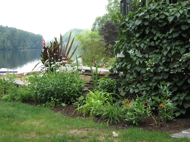 work photo from gallaghertreeandlandscape.com