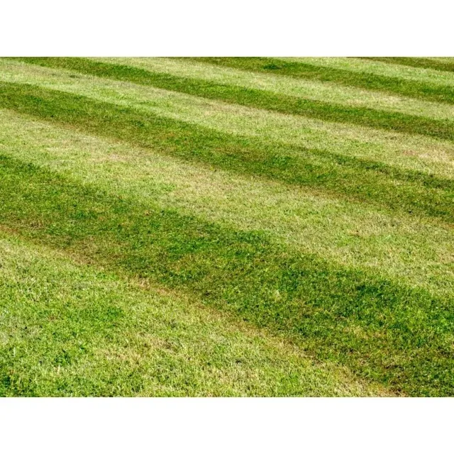 Untitled design.jpg
