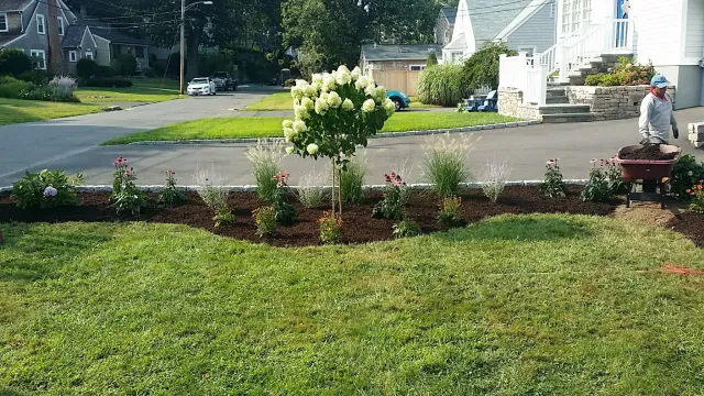 work photo from damatolandscaping.com