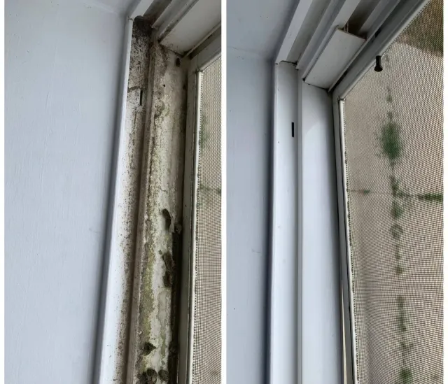 Before and after cleaning of a window track