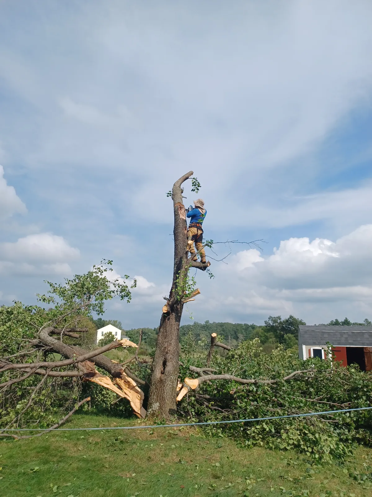 work photo from Google listing