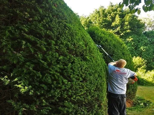 work photo from nrilandscaping.com