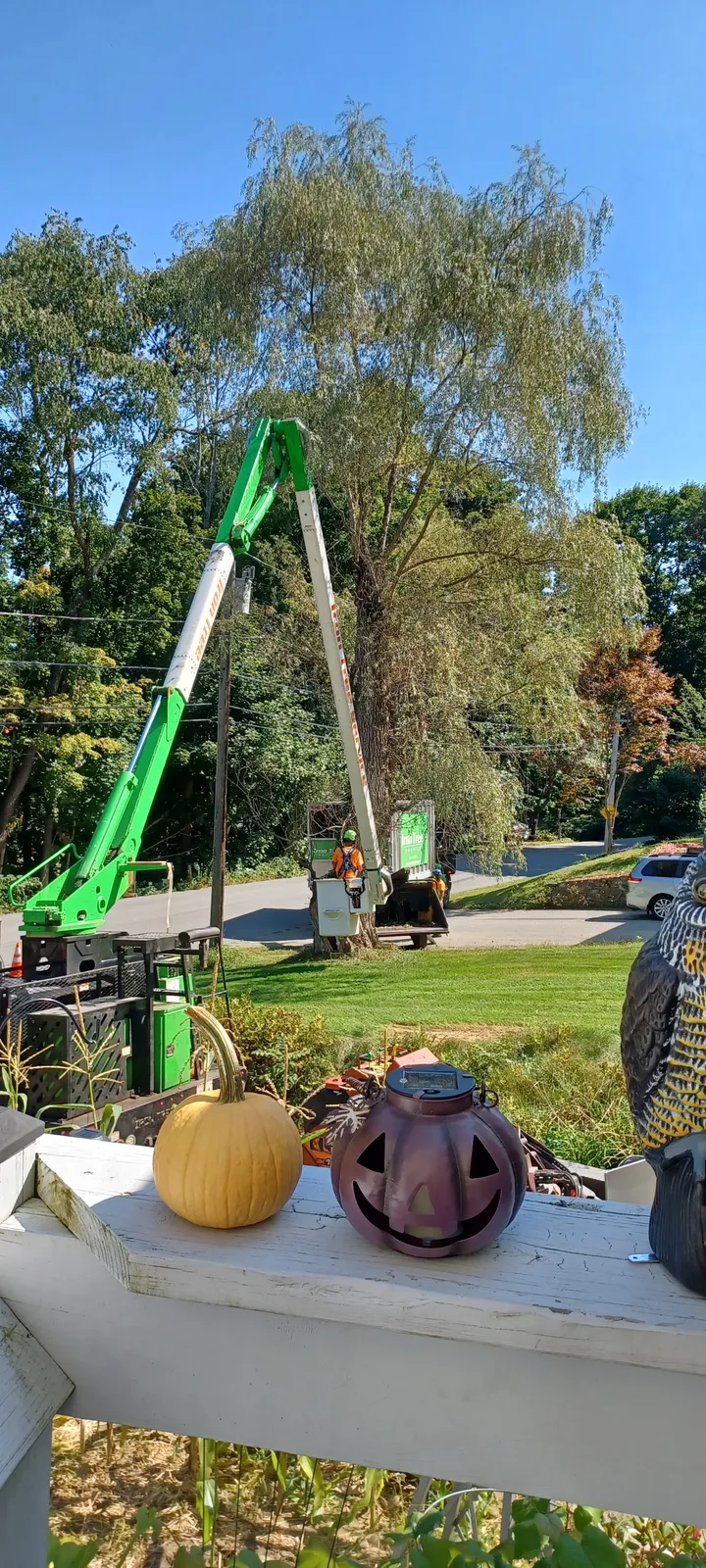 work photo from Google listing