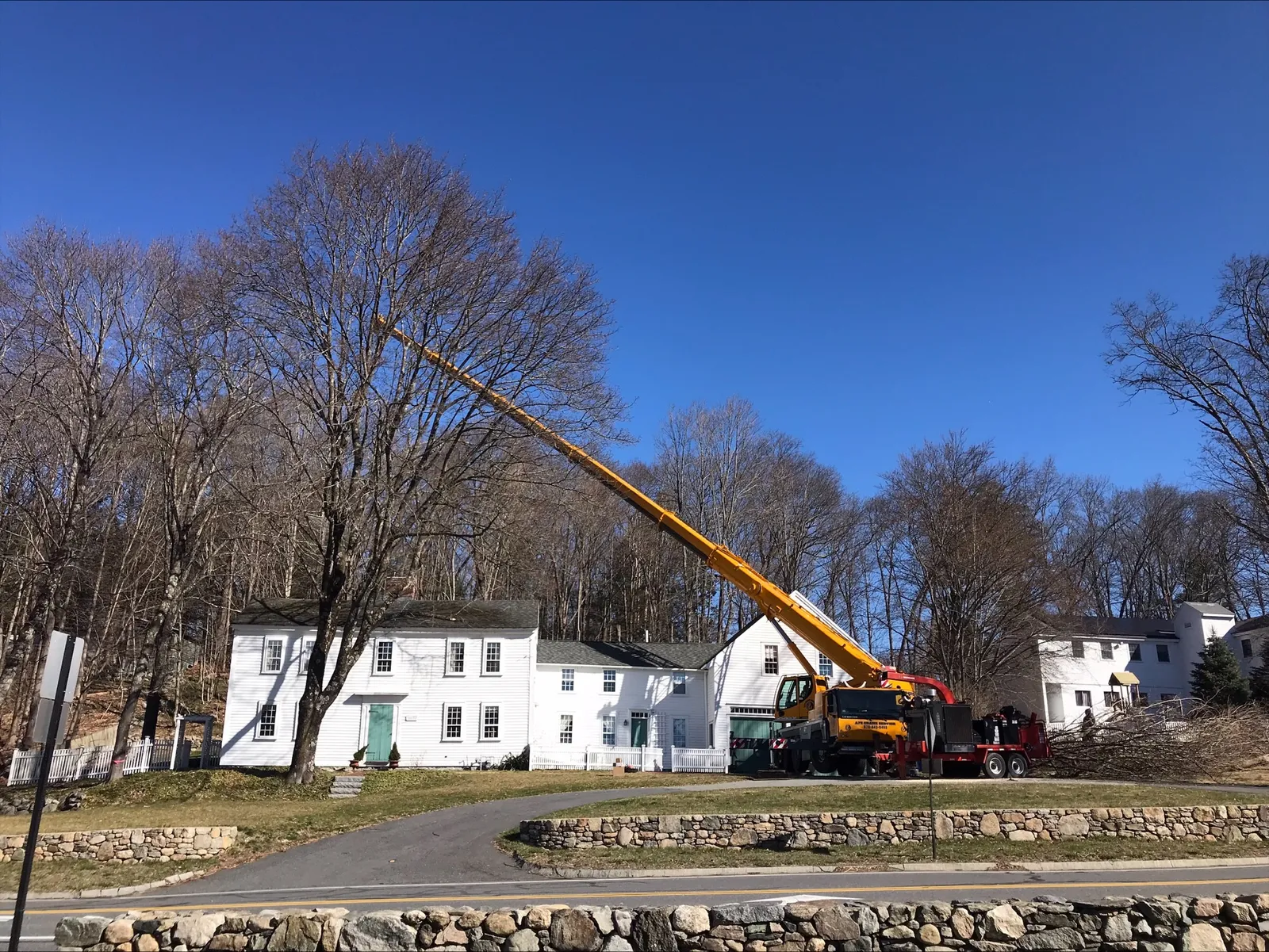 Rustys Tree Service researched project photo