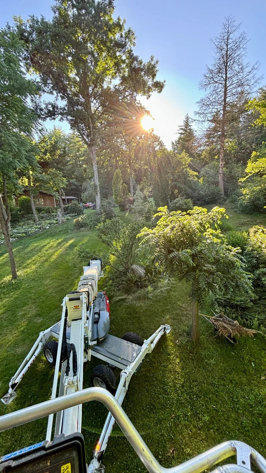new england tree service aerial lift in tree garden