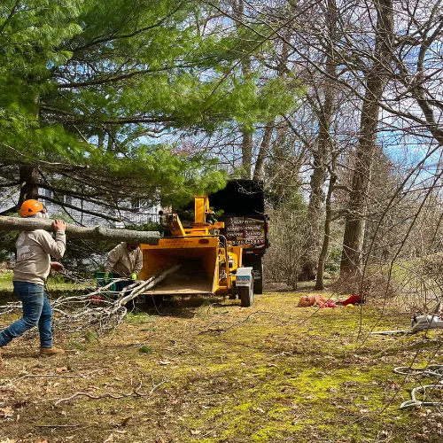 work photo from gnltreeservices.com