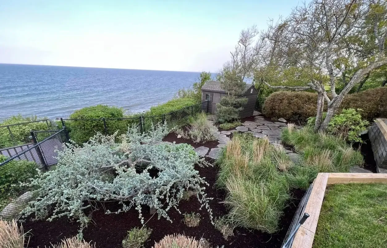 Backyard cleanup and mulch installation makeover in Plymouth MA