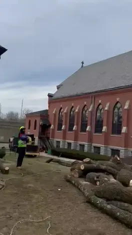 work photo from hdtreeservicesandlandscaping.com