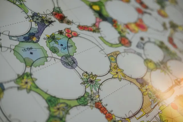 Landscape design blueprint.