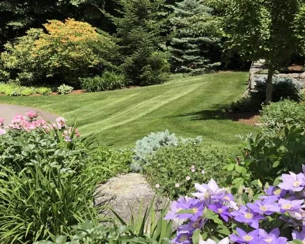 work photo from palandjianlandscaping.com