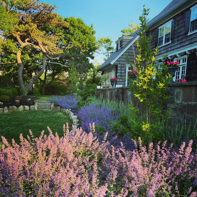 Wellesley Landscape Architects work photo