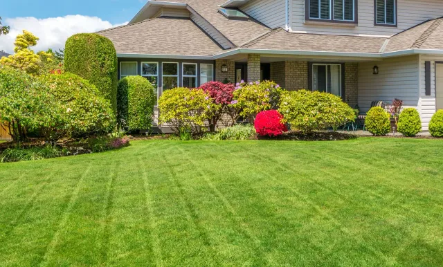work photo from patgibbslandscaping.com