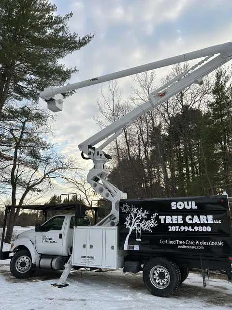 tree removal Dover NH