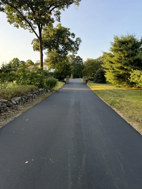 Asphalt driveway through lush green trees and shrubs, leading to a house in the distance.