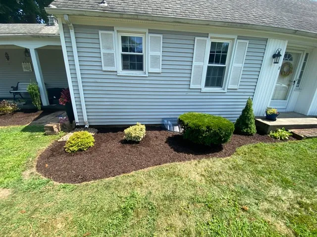 Plant & Shrub Installations