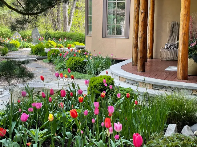 A garden with a curved stone pathway surrounded by blooming tulips and green bushes, adjacent to a house porch supported by wooden logs with a wicker chair and flowers.