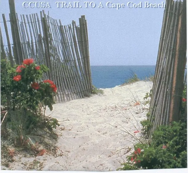 work photo from capecodusarealestate.com