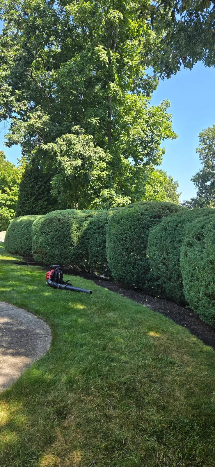 Osberto's landscaping