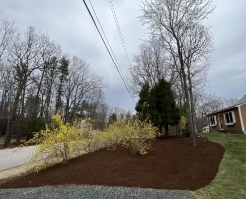 work photo from limitlesslawn.com