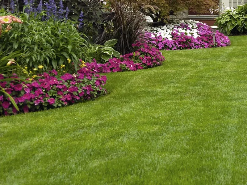 work photo from greatcarelawnservice.com