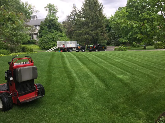 Ray's Landscape Services LLC work photo