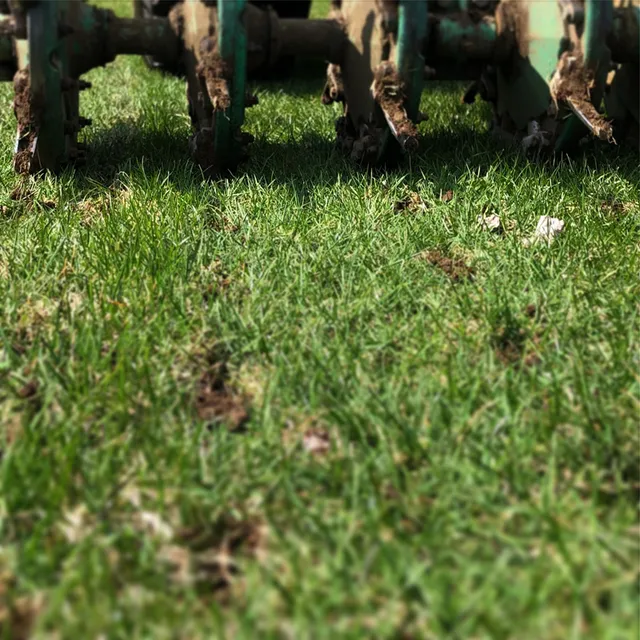 work photo from berkshireturfma.com