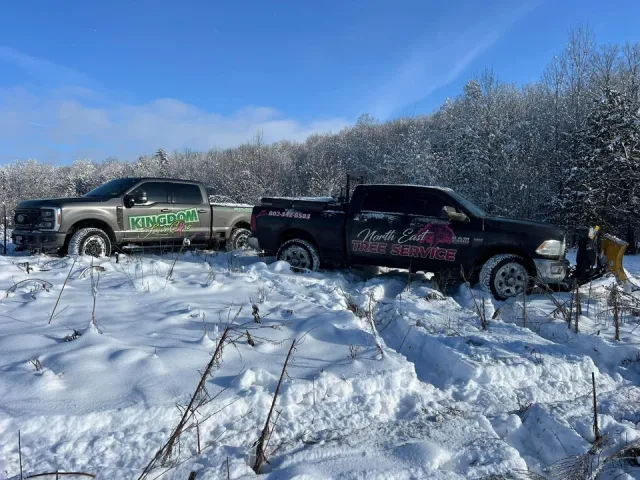 work photo from northeast-treeservice.com
