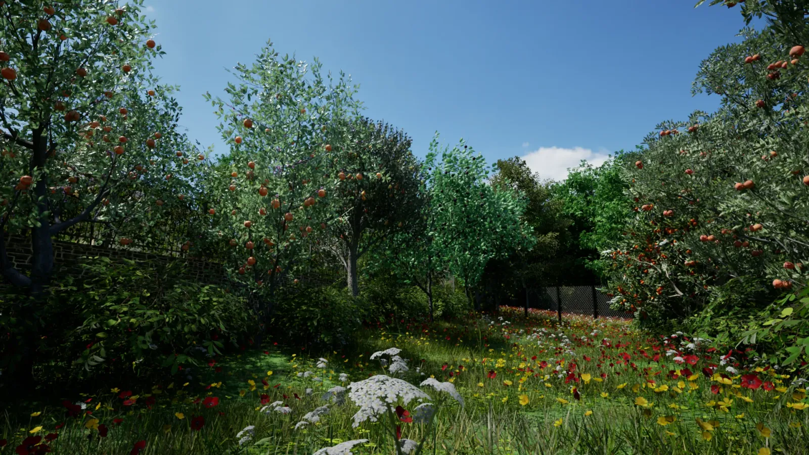 Close view of young orchard trees and understory