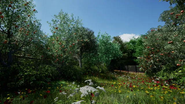 Close view of young orchard trees and understory