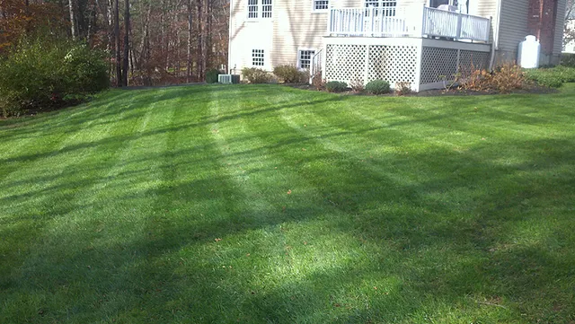 LandscapingWithHart05