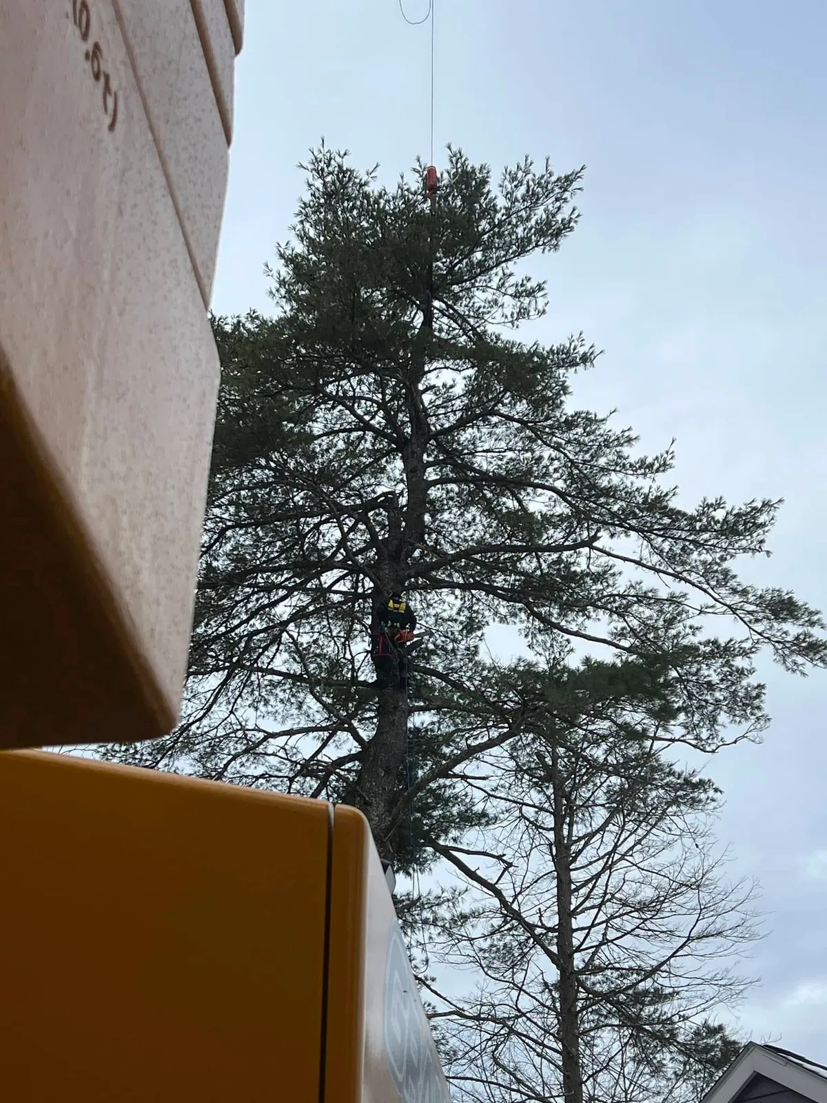 work photo from abairtreeservicenh.com