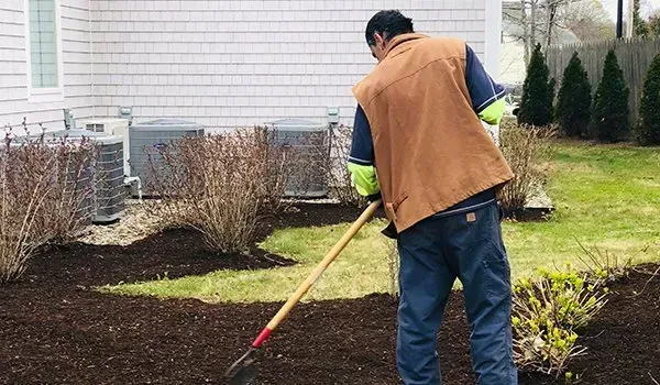 Person raking soil in a yard beside a house, with shrubs and evergreen trees nearby.