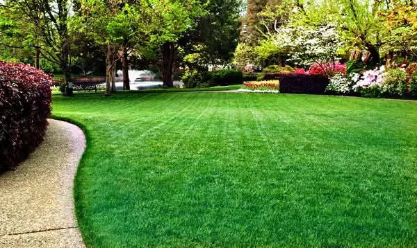 work photo from cahilllawncare.com
