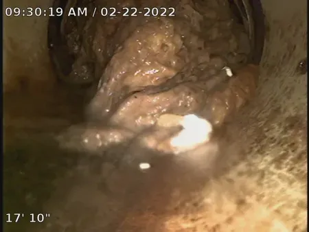 Clogged sewer
