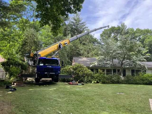 work photo from destitotreeservices.com