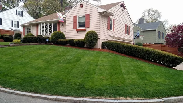work photo from maslandscaping.com